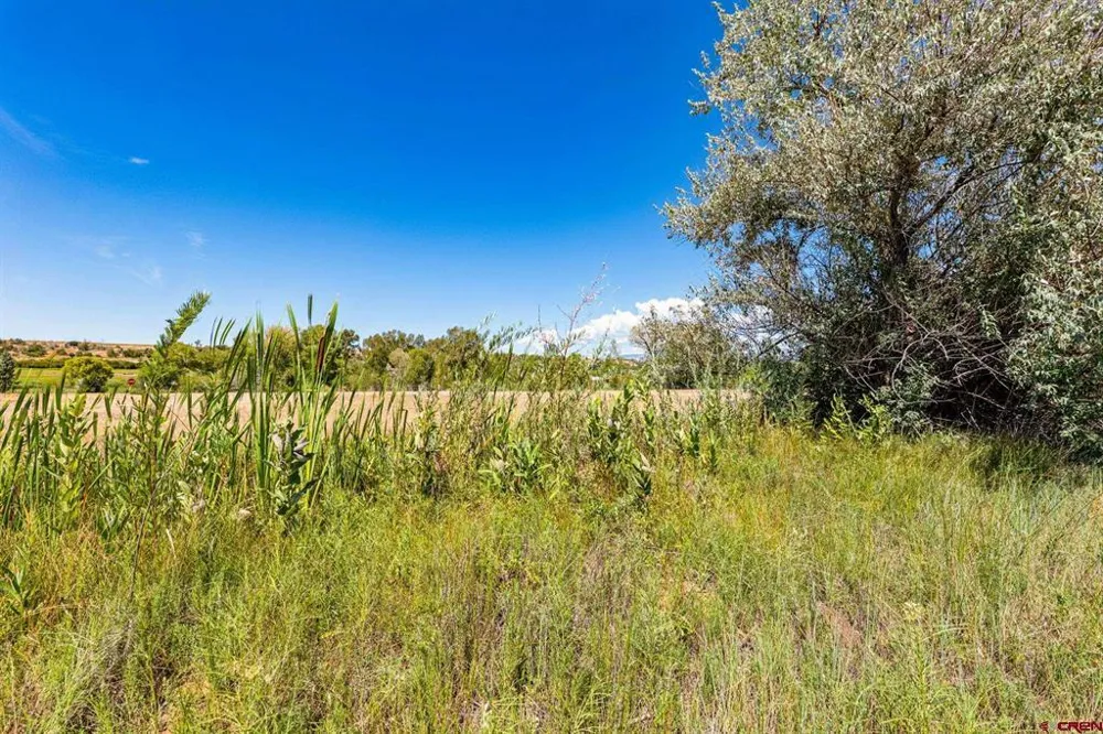44 County Road 225A Durango, CO 81301
