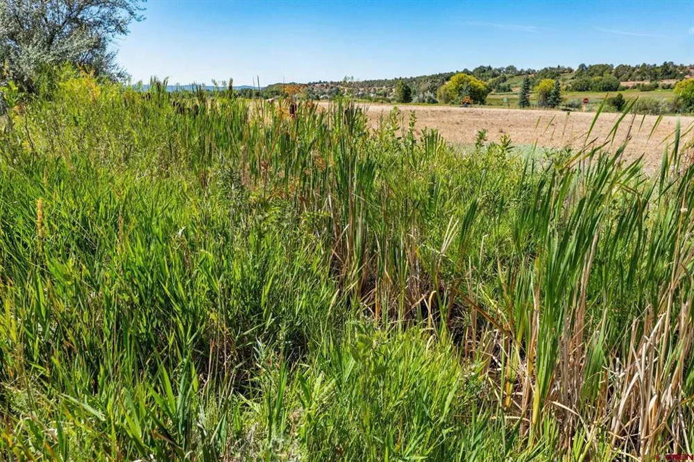 44 County Road 225A Durango, CO 81301