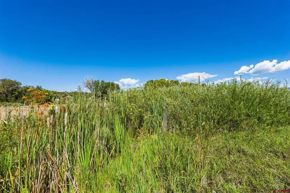 44 County Road 225A Durango, CO 81301