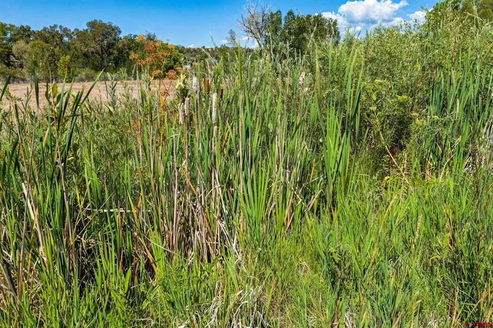 44 County Road 225A Durango, CO 81301