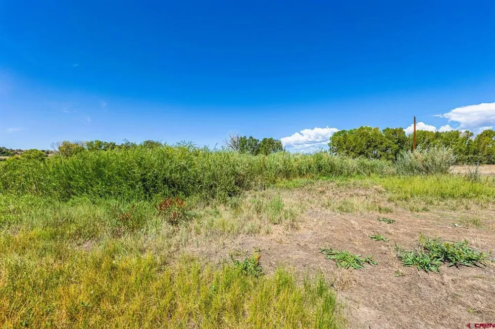 86 County Road 225A Durango, CO 81301