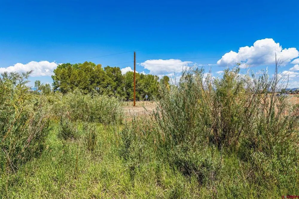 86 County Road 225A Durango, CO 81301