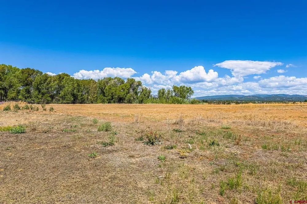 86 County Road 225A Durango, CO 81301