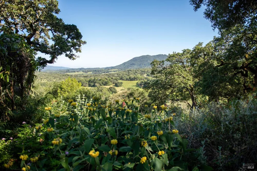 4296 Savannah Trail Santa Rosa, CA 95404