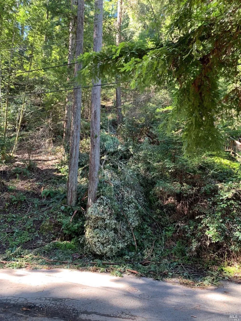 11953 Hillside Road Forestville, CA 95436