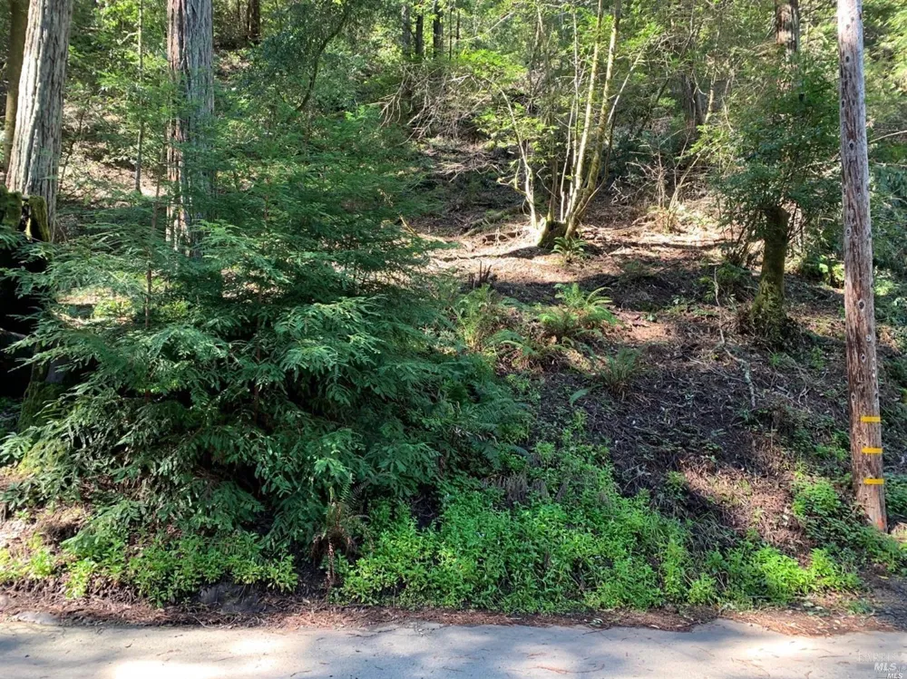 11953 Hillside Road Forestville, CA 95436