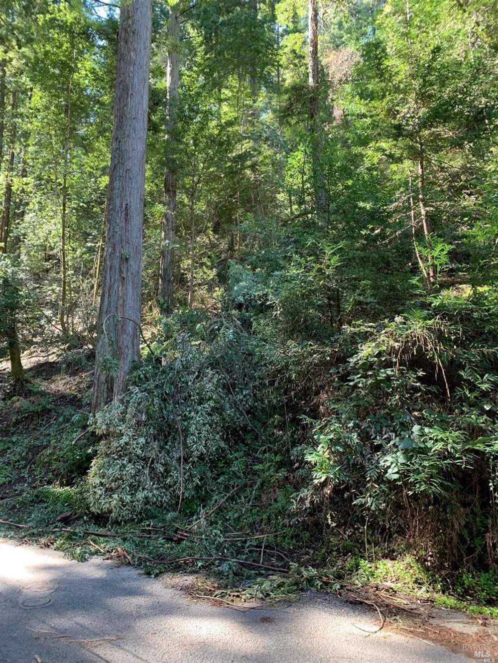 11953 Hillside Road Forestville, CA 95436