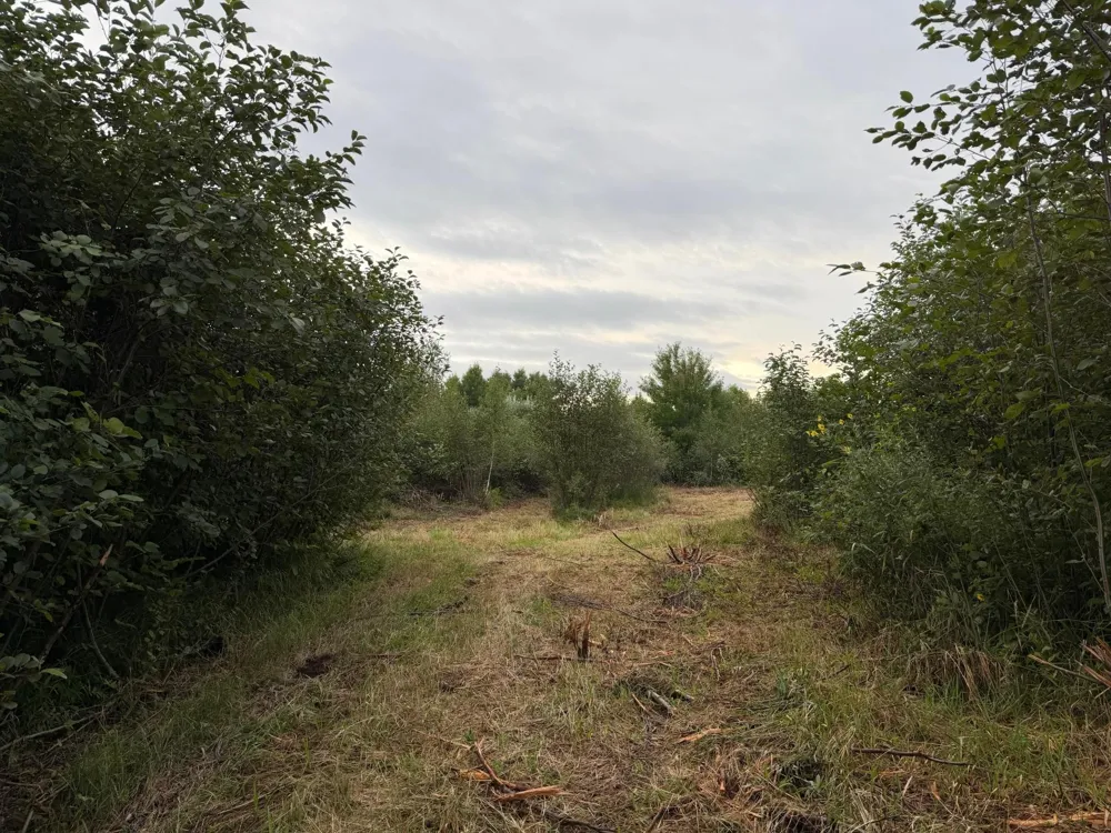 TBD County Road 12 Kettle River, MN 55767
