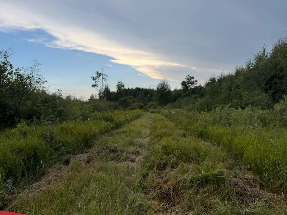 TBD County Road 12 Kettle River, MN 55767