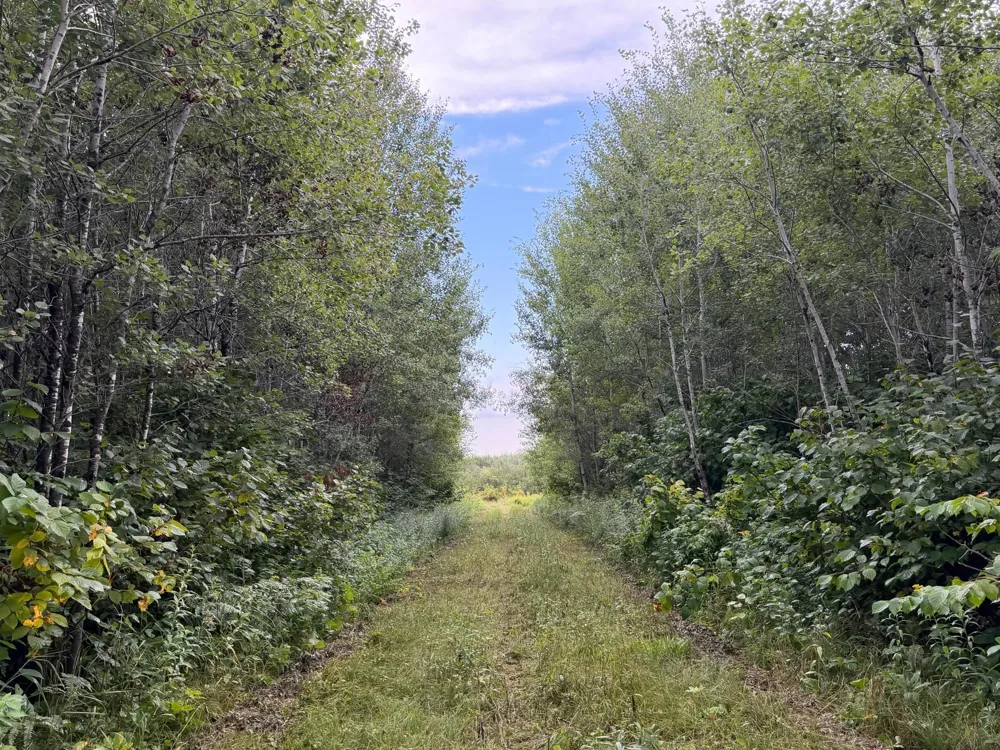 TBD County Road 12 Kettle River, MN 55767
