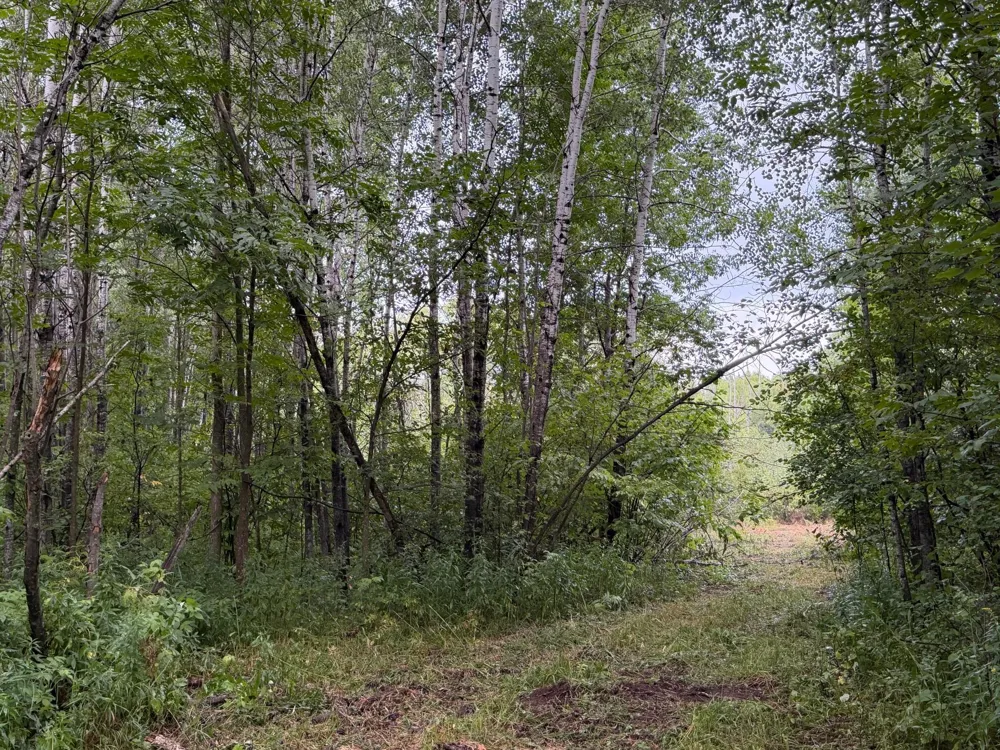 TBD County Road 12 Kettle River, MN 55767