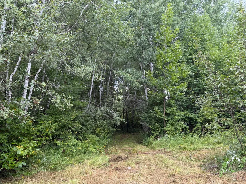 TBD County Road 12 Kettle River, MN 55767