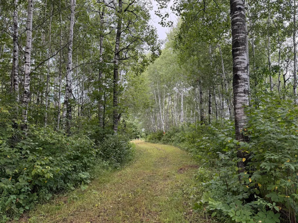 TBD County Road 12 Kettle River, MN 55767