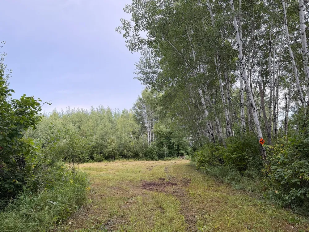 TBD County Road 12 Kettle River, MN 55767