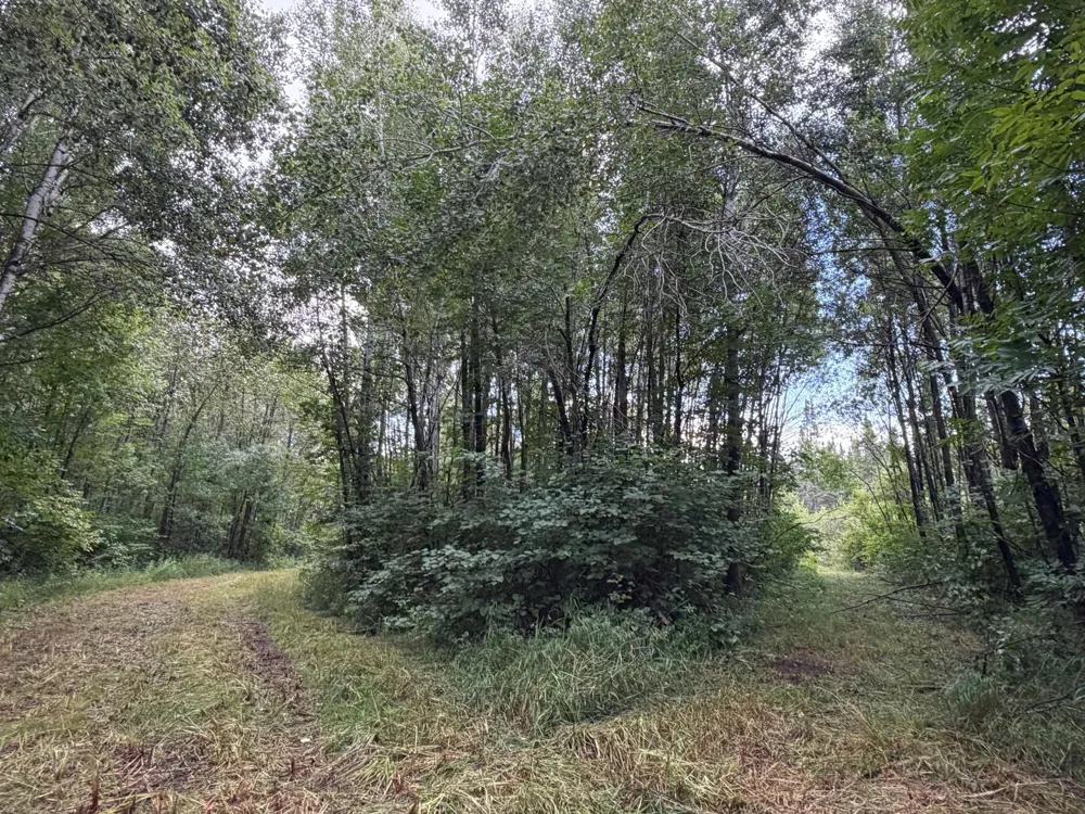 TBD County Road 12 Kettle River, MN 55767