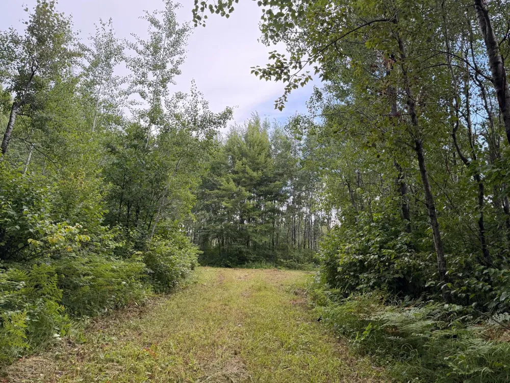 TBD County Road 12 Kettle River, MN 55767