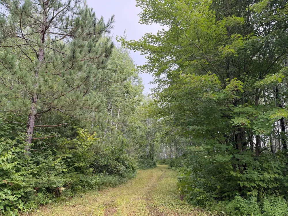 TBD County Road 12 Kettle River, MN 55767