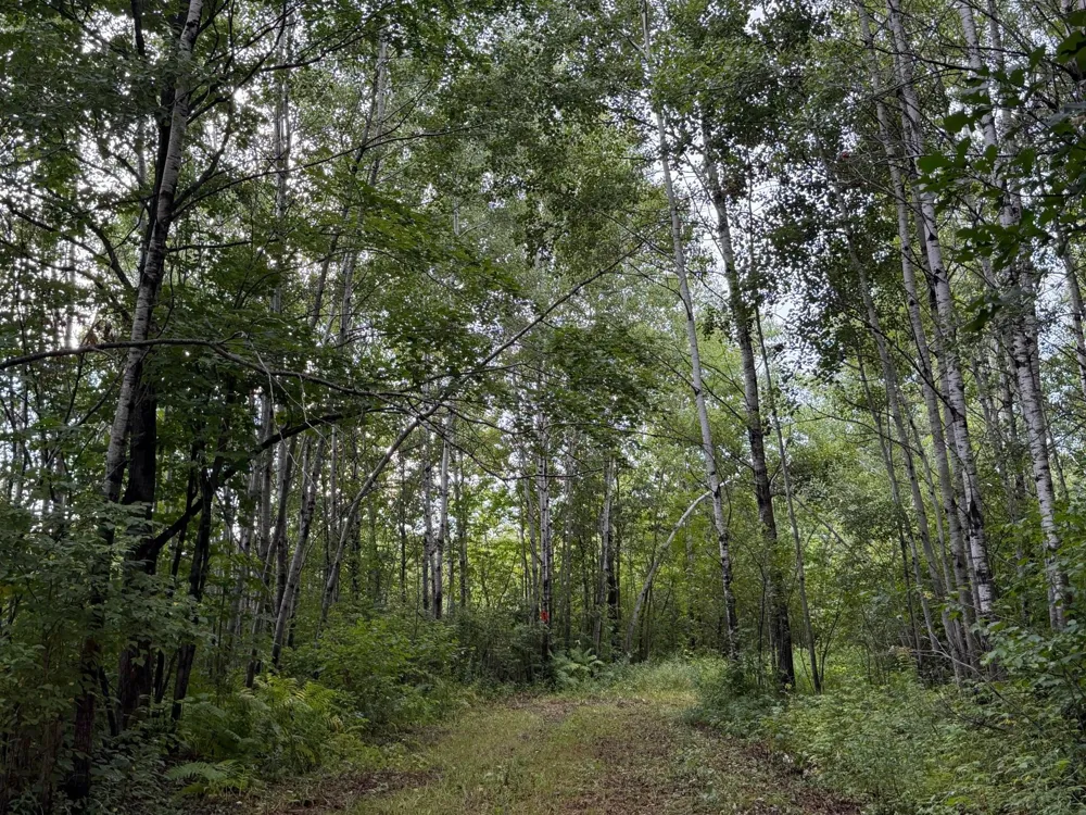 TBD County Road 12 Kettle River, MN 55767