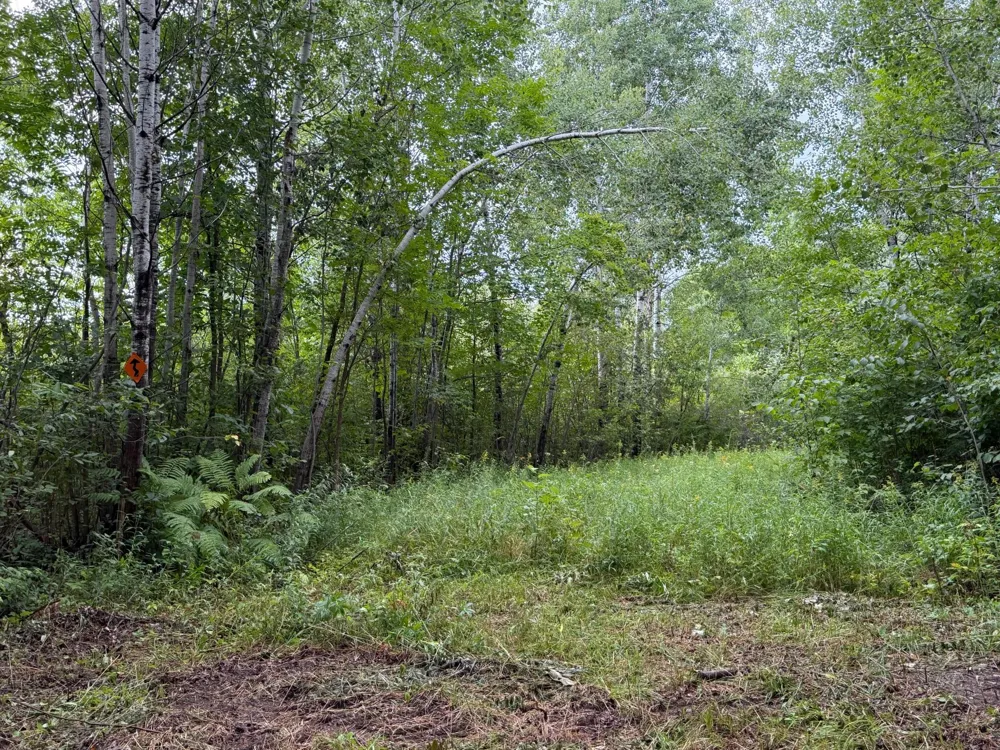 TBD County Road 12 Kettle River, MN 55767