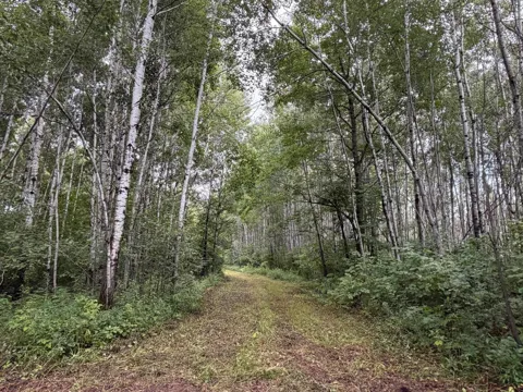 TBD County Road 12