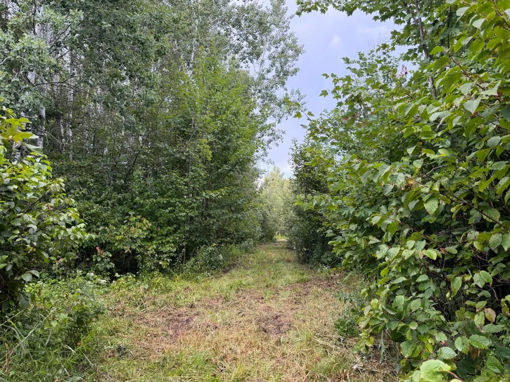 TBD County Road 12 Kettle River, MN 55767
