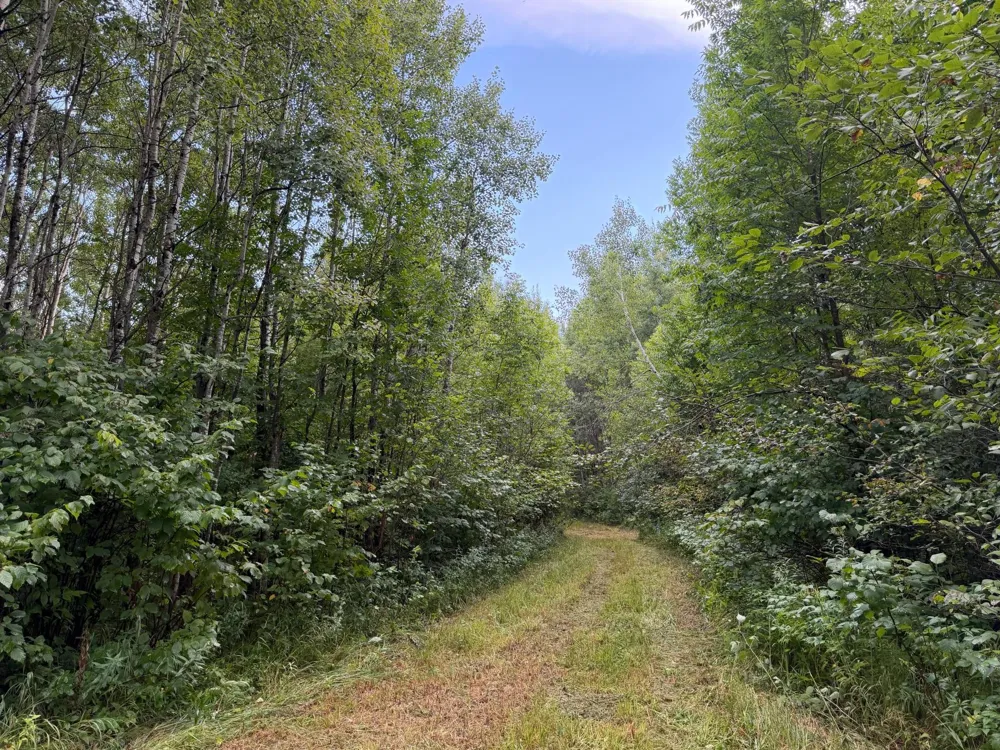 TBD County Road 12 Kettle River, MN 55767