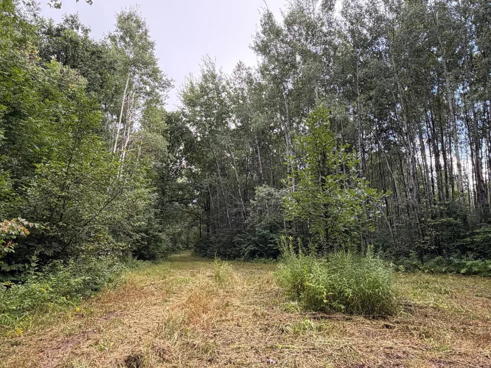 TBD County Road 12 Kettle River, MN 55767