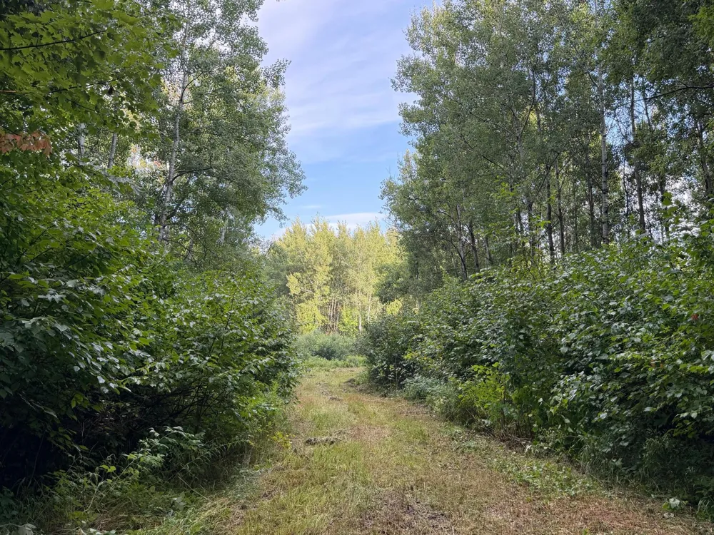 TBD County Road 12 Kettle River, MN 55767
