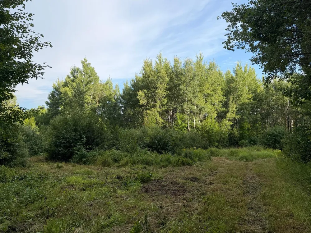 TBD County Road 12 Kettle River, MN 55767