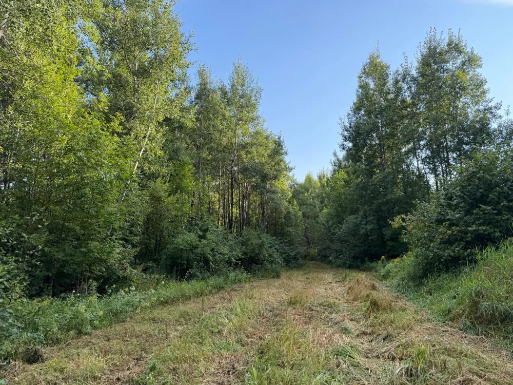 TBD County Road 12 Kettle River, MN 55767