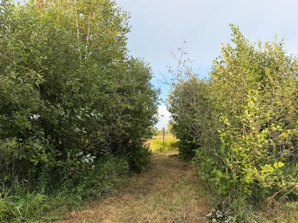 TBD County Road 12 Kettle River, MN 55767