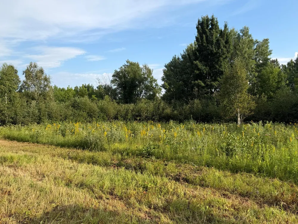 TBD County Road 12 Kettle River, MN 55767