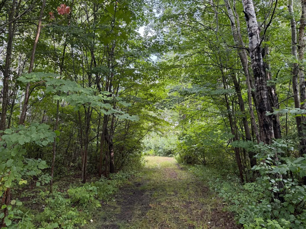 TBD County Road 12 Kettle River, MN 55767