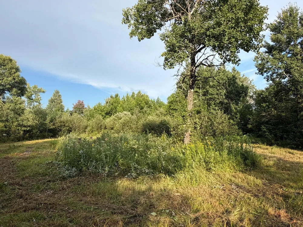 TBD County Road 12 Kettle River, MN 55767
