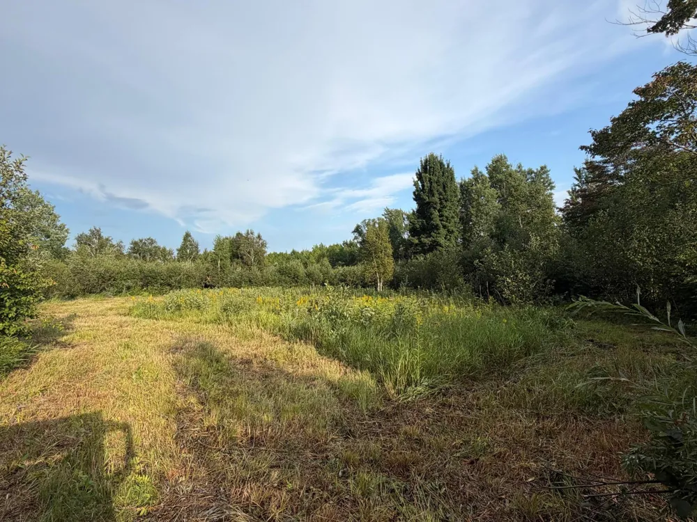 TBD County Road 12 Kettle River, MN 55767