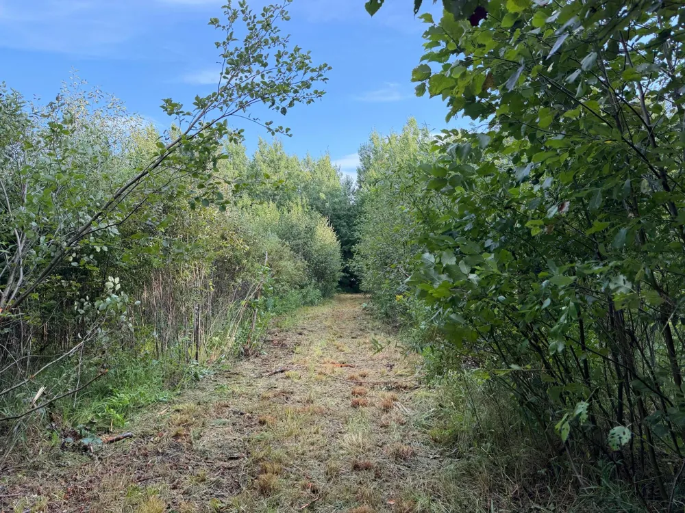 TBD County Road 12 Kettle River, MN 55767