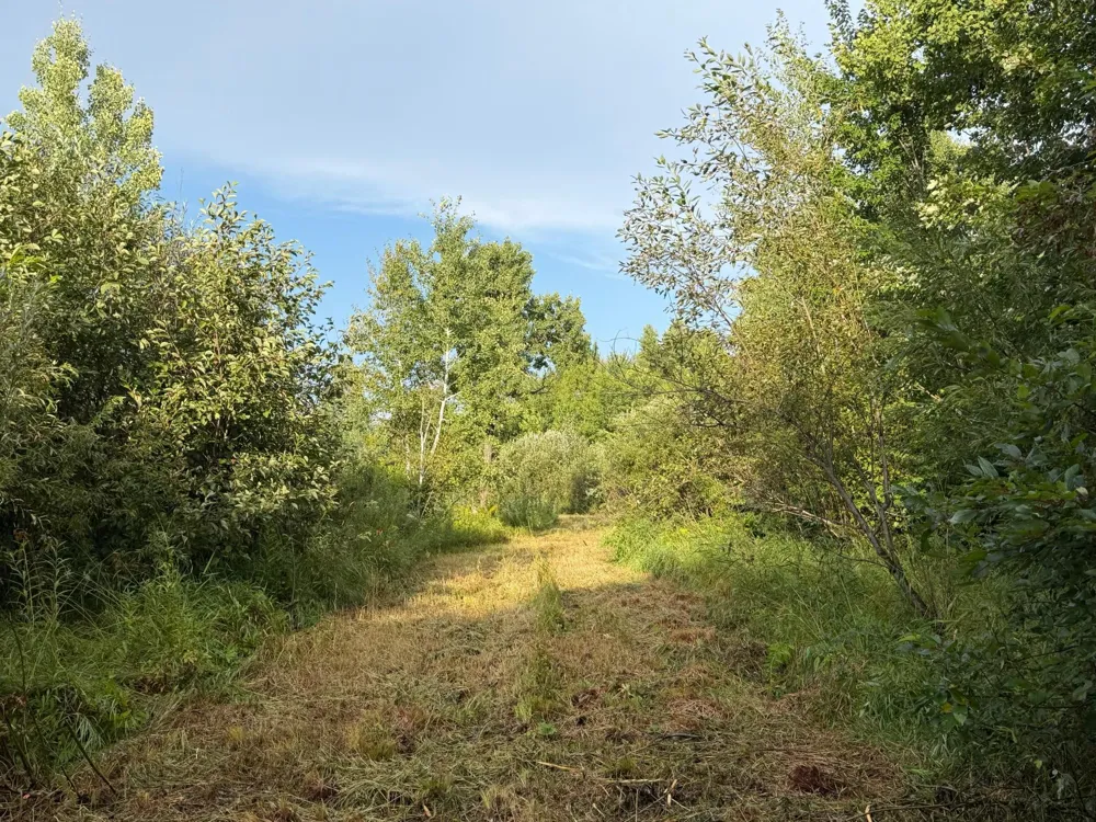 TBD County Road 12 Kettle River, MN 55767