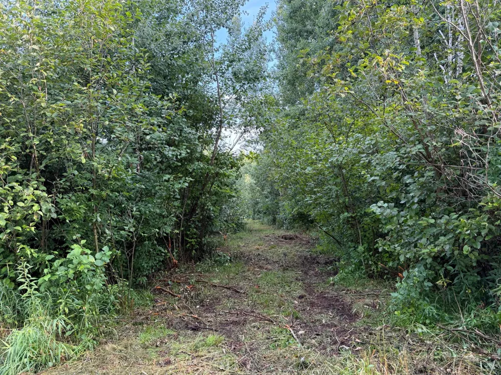 TBD County Road 12 Kettle River, MN 55767