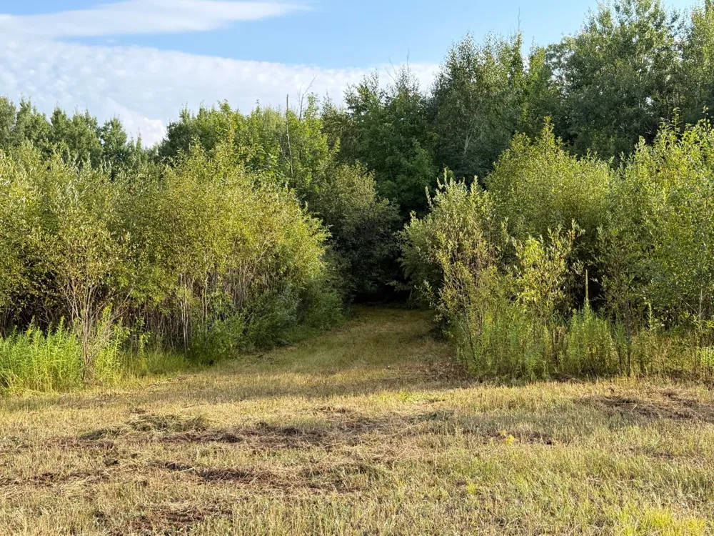 TBD County Road 12 Kettle River, MN 55767
