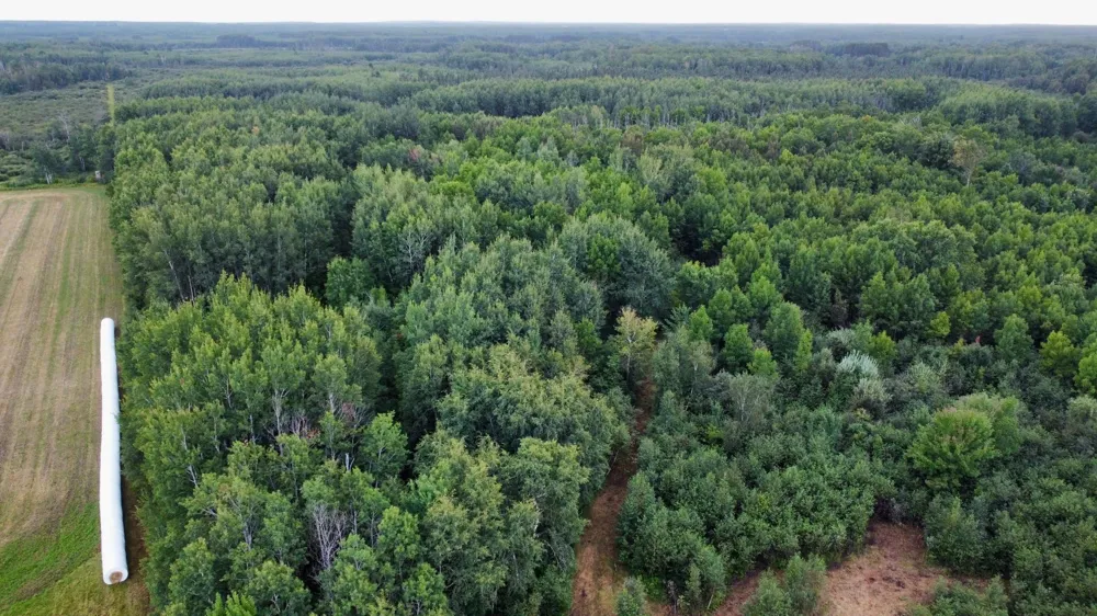 TBD County Road 12 Kettle River, MN 55767