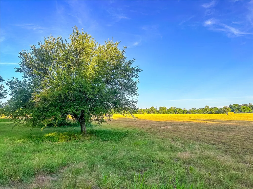 5201 Windmill Lane Celina, TX 75009