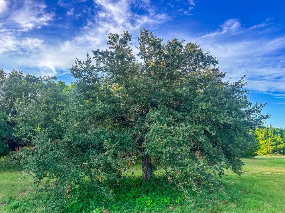 5201 Windmill Lane Celina, TX 75009