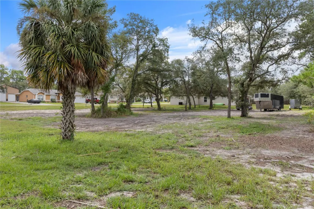 8451 NUZUM ROAD Weeki Wachee, FL 34613