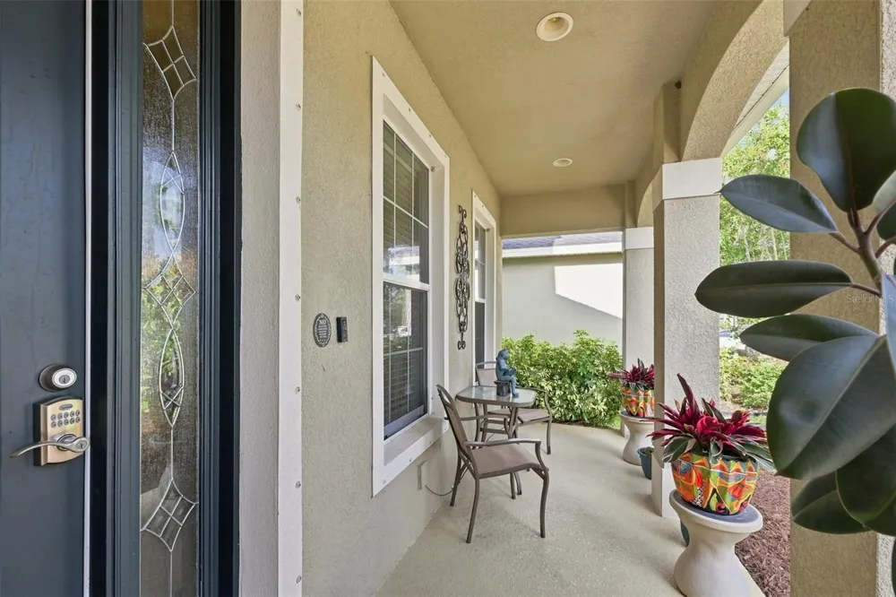 11156 SPRING POINT CIRCLE Riverview, FL 33579