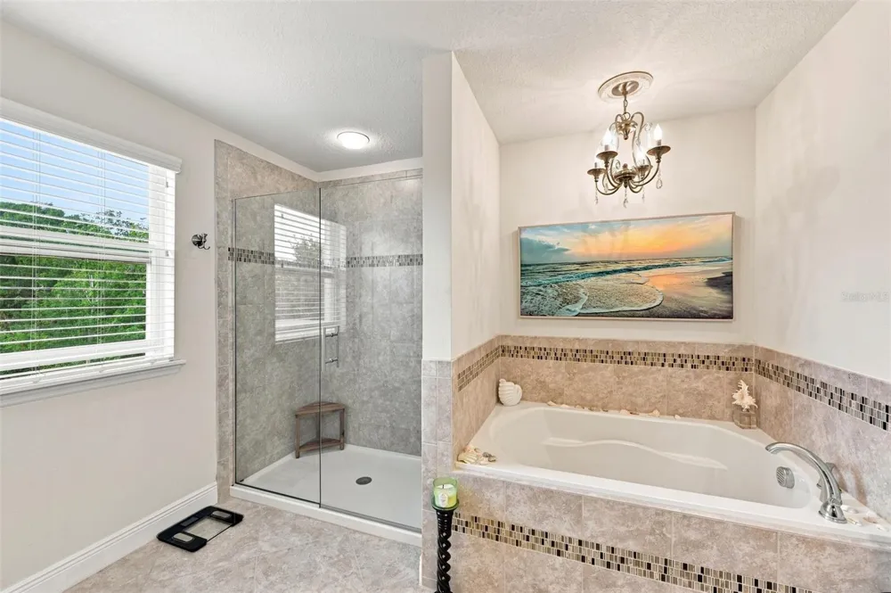 11156 SPRING POINT CIRCLE Riverview, FL 33579
