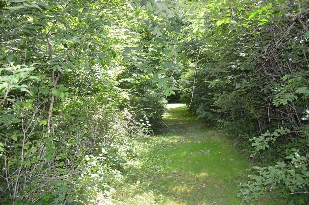 4561 Lake Road Clarklake, MI 49234