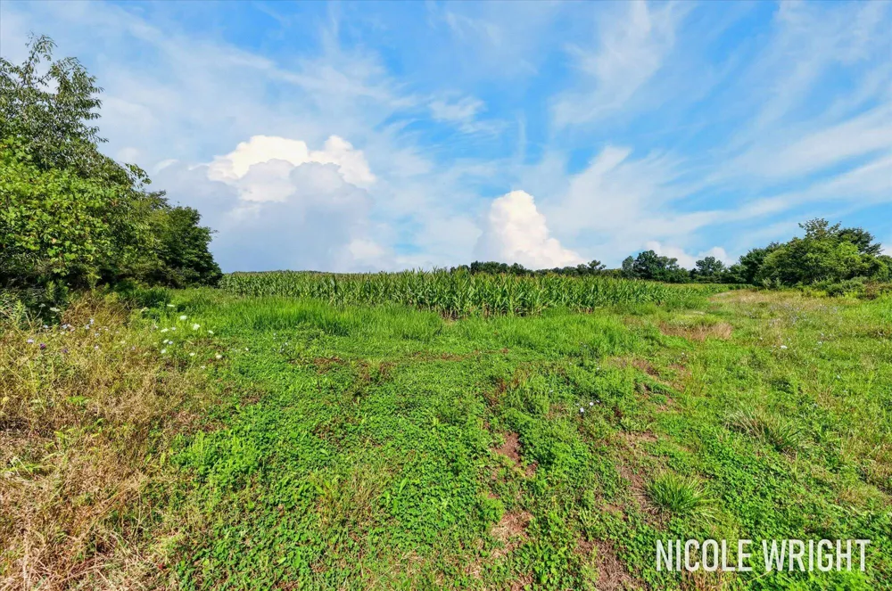 V/L 116th Avenue Otsego, MI 49078