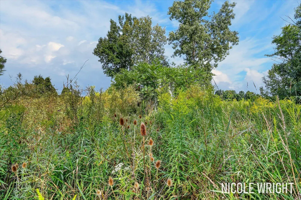 V/L 116th Avenue Otsego, MI 49078