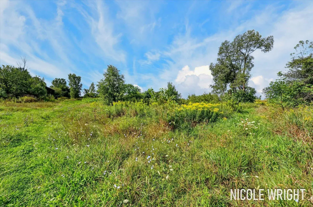 V/L 116th Avenue Otsego, MI 49078