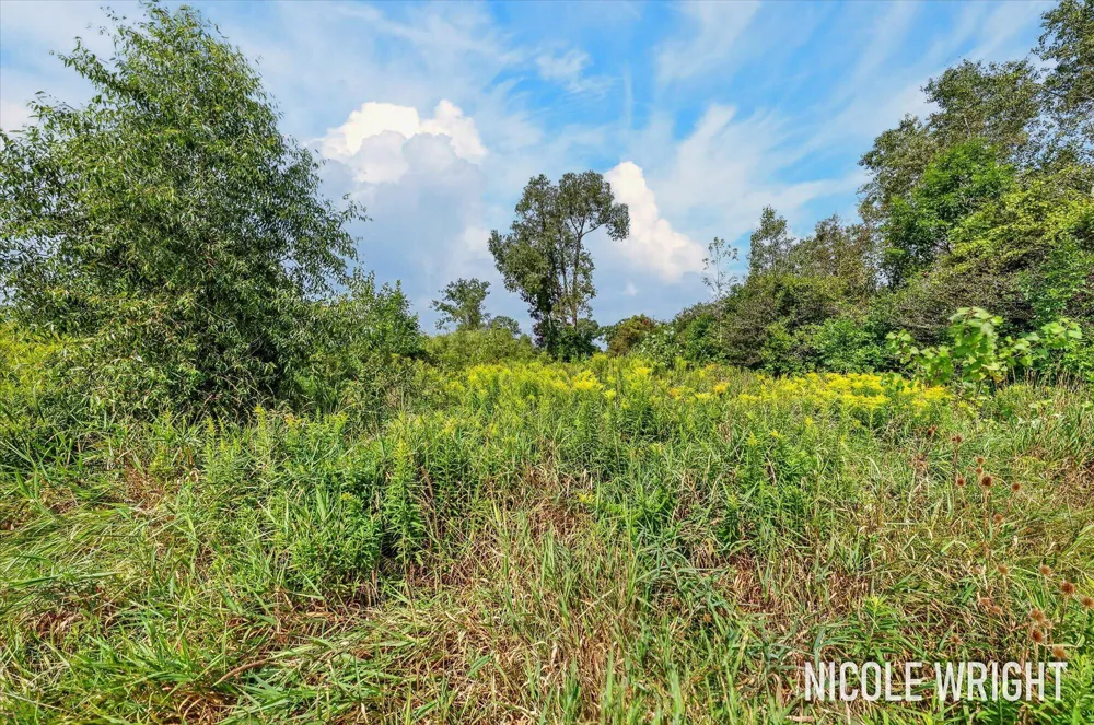 V/L 116th Avenue Otsego, MI 49078